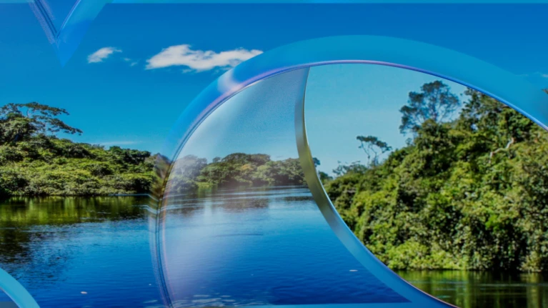 BCG at COP 30