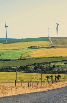 Net-Zero South Africa - Hero Image