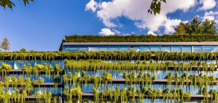 Sustainable-Consumer-Survey-2307 image