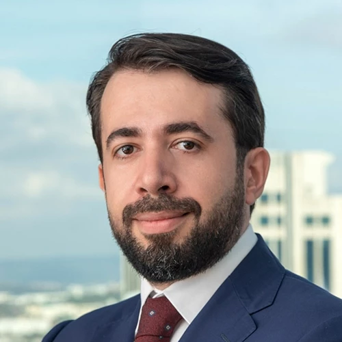Headshot of BCG expert Anil Demir