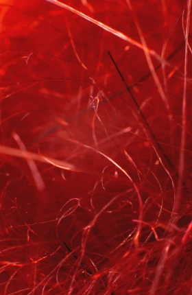 How Synthetic Biology Can Make a Materials Difference - rectangle.jpg