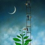 493-organizing-growth-cvr-600x600-tcm9-81165.jpg