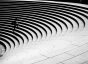 Why Global Companies Need to Become Fractal Innovators | Rectangle