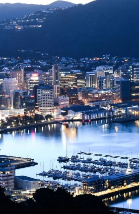 New Zealand Consumer Sentiment Series #3 | Hero