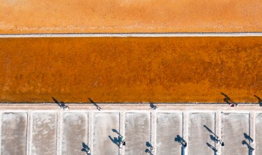 The New Consumer Conversation in an Era of Uncertainty