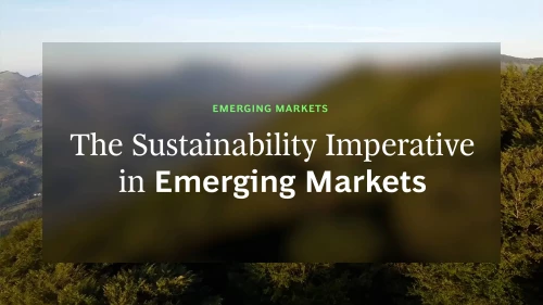 The Sustainability Imperative in Emerging Markets | Image