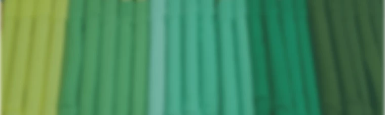 Green shirts.png
