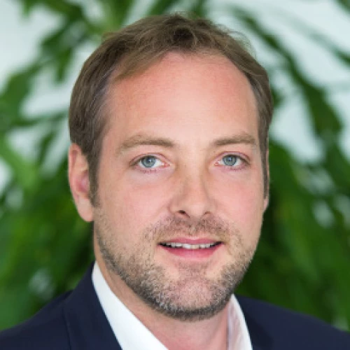 Headshot of BCG expert David Panhans