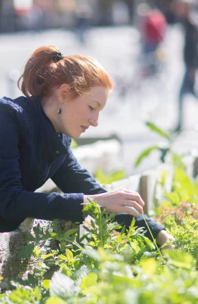 Why CFOs Should Lead the Sustainability Charge Hero Rectangle