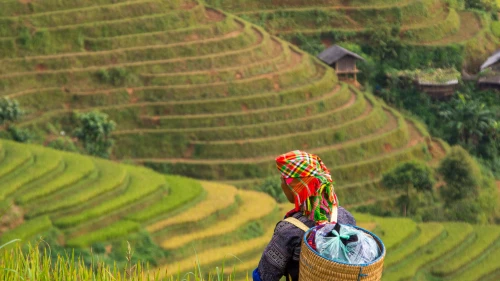 agribusiness-industry-square