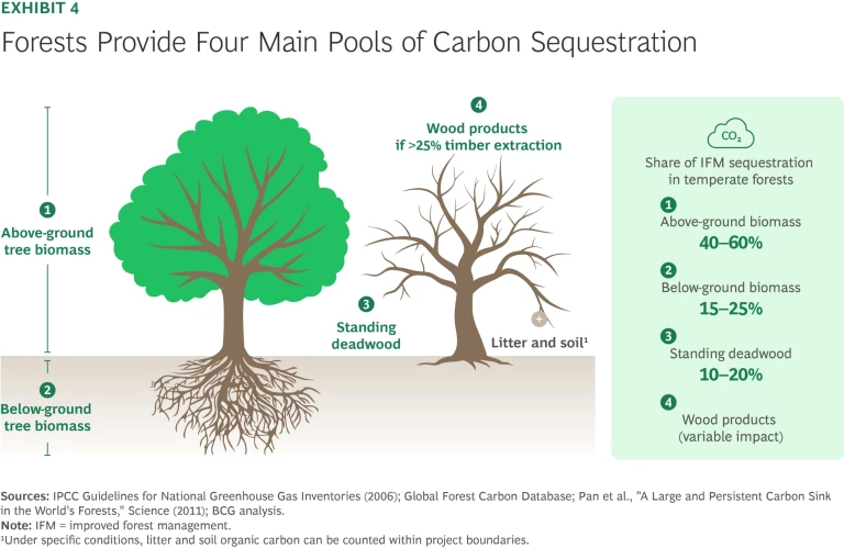 How Forests Can Revitalize Carbon Markets | Exhibit 4