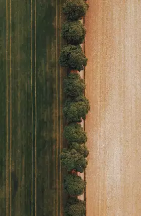 " "