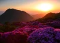 How to Create a Transformation That Lasts | Hero