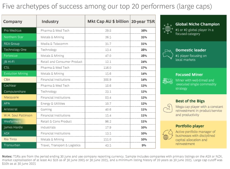 Five archtypes of success among our top 20 performers (large caps)