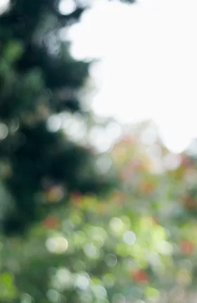 The Purpose-Driven Digital Transformation