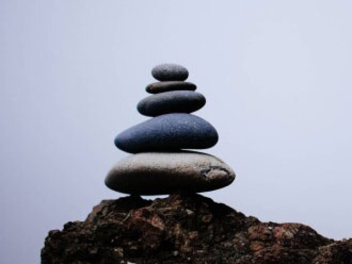 BCG Executive Perspectives: The CEO Dilemma | homepage