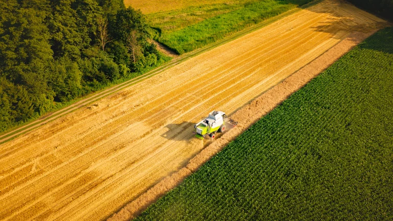 Agribusiness Can Lead the Shift to Sustainable Farming Hero Rectangle