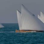 Small fleet of white sailboats on the sea
