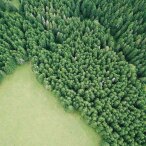 how-china-reach-dual-climate-goals.jpg