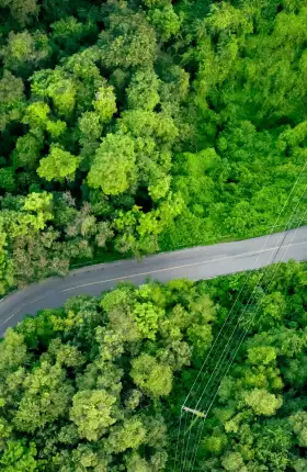 Green Growth Accelerators | Hero