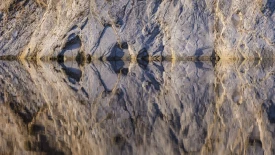 hybrid-ecosystems-2880x1620-tcm9-170981.jpg