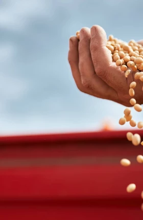The War in Ukraine and the Rush to Feed the World | rectangle