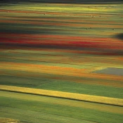 Planetary Boundaries_hero_rectangle.jpeg