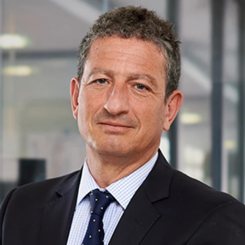 Headshot of BCG expert Michel Fredeau