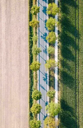 How Prolonged Trade Wars Could Hurt US Agribusiness for Good - opt
