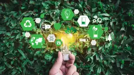 BCG-Climate-Innovation-Race-Just-Started.jpg