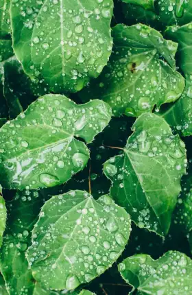 china-esg-investing-report.jpg