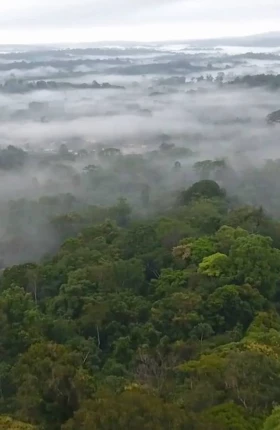 Centre for Climate and Just Transition in Africa