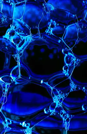 AI-in-Biologics-Discovery.jpg