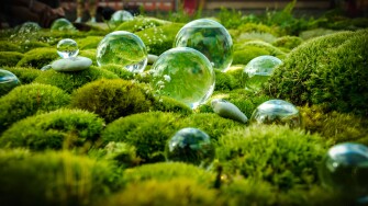 How Energy Companies Can Organize for the Low-Carbon Era | Rectangle