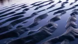 " "