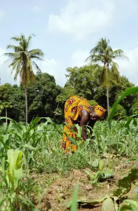 Green-Recovery-in-Africa.jpg