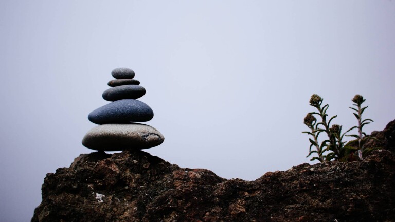 BCG Executive Perspectives: The CEO Dilemma | Promo