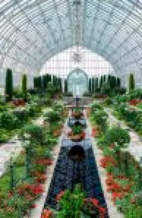 How to benefit from business ecosystems if you are not the orchestrator.jpg