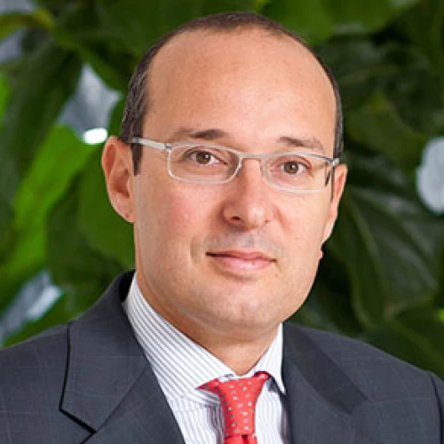 Headshot of BCG expert Martin Manetti