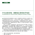the-sme-market-for-telecom-providers-cn-tcm9-162063.png