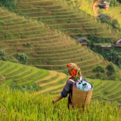 agribusiness-industry-square