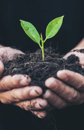 WWF Nature in Transition Plans