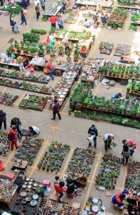 How Chinese Grocers Can Leapfrog the Competition - rectangle
