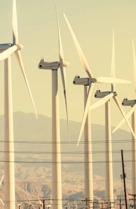 India-Energy-Week-2024-Promo.jpg