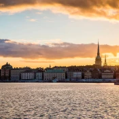 BCG in Stockholm