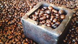 Close-up of coffee beans