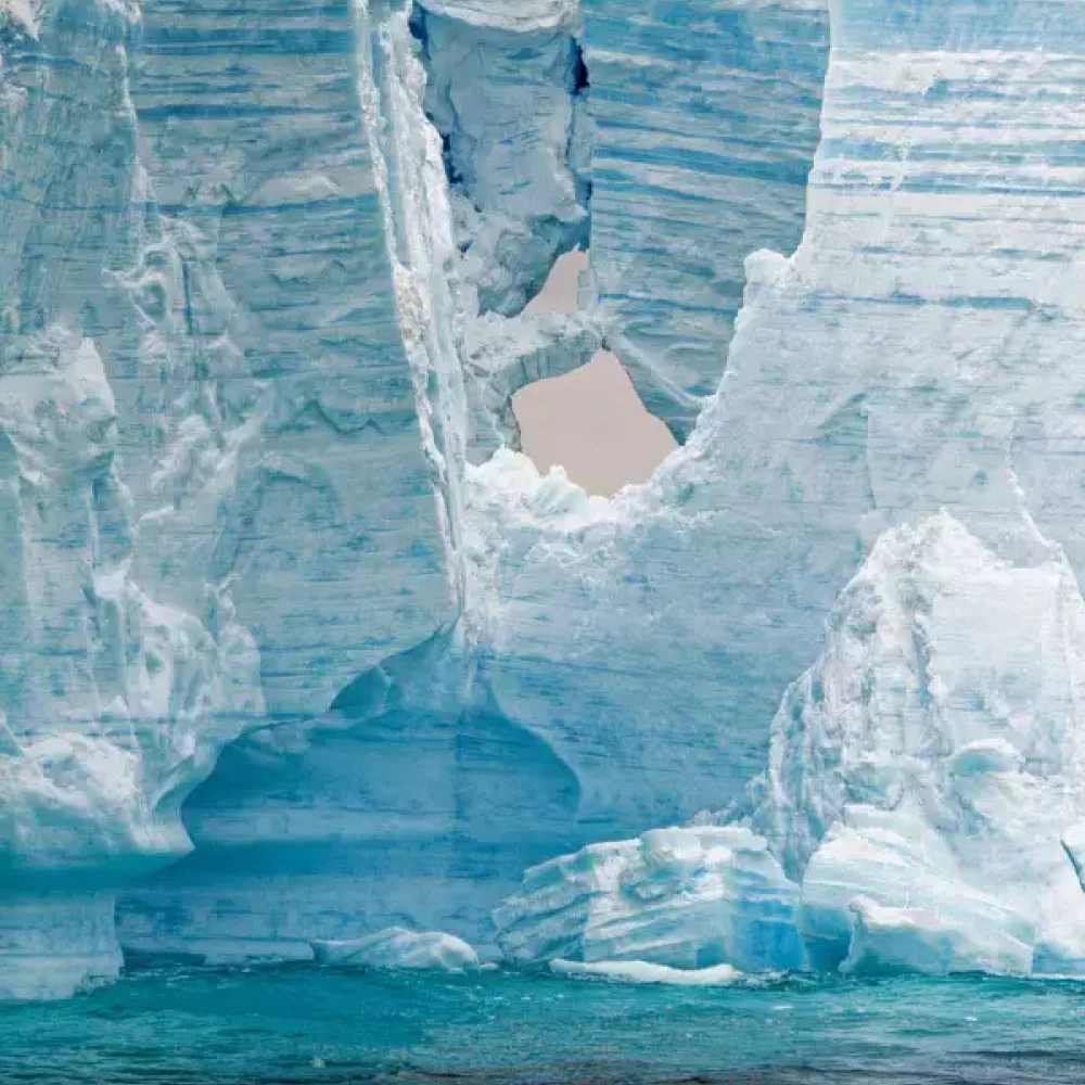 Close the 600+ gigaton global ambition gap | BCG-WEF Project: CEO Climate Leaders | Image