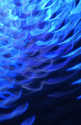 Any Company Can Become a Resilient Data Champion | rectangle