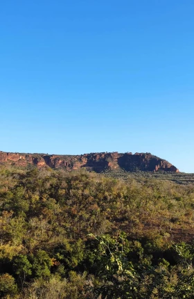 Resilience for the Future a Viable Pathway to Regenerative Landscapes in the Cerrado | Hero
