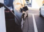Electric Cars Are Finding Their Next Gear - rectangle
